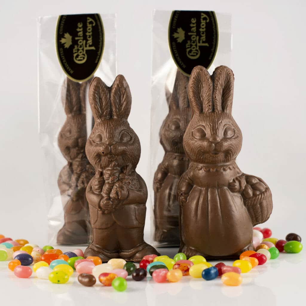 Small Boy and Girl Bunny
