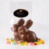 Chocolate easter rabbit